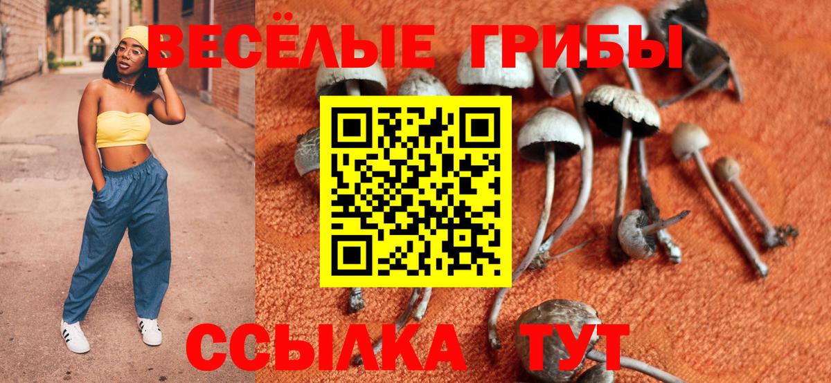 Галлюциногенные грибы прущие грибы Вичуга