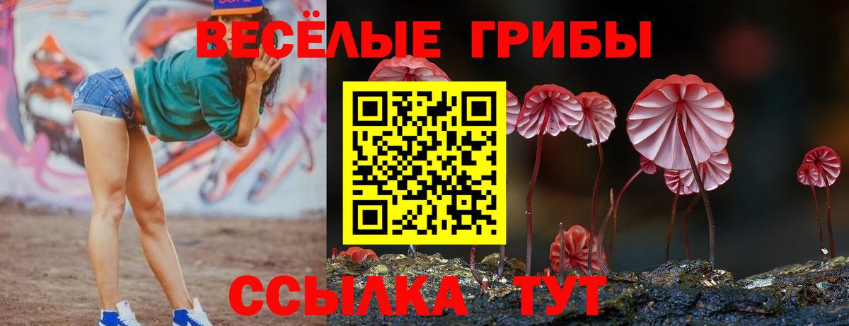 Вичуга  Псилоцибиновые грибы Psilocybe  Вход с VPN 